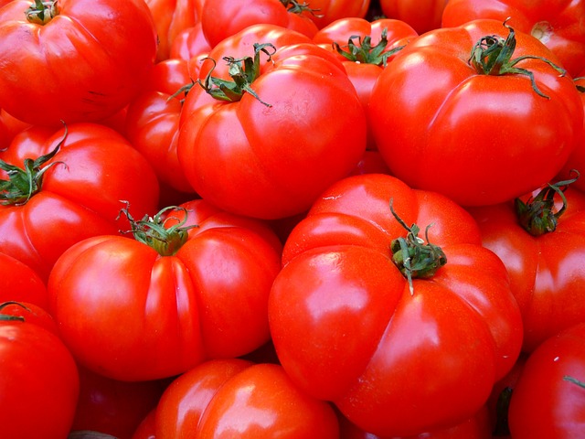 家庭菜園で育てた青いトマトを収穫前に赤くするには?